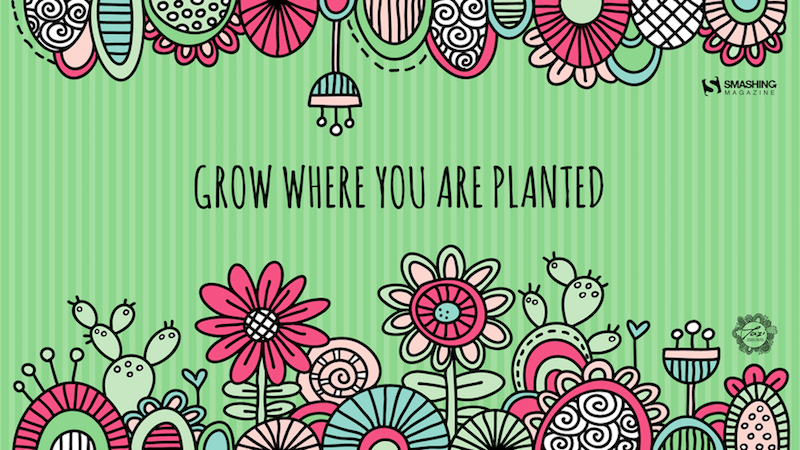 Grow Where You Are Planted